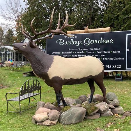 Burley's Executive Garden Suite Peterborough Exterior foto